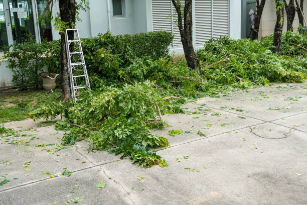 Best Seasonal Cleanup (Spring/Fall)  in St Charles, MI